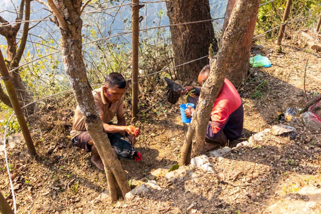 Offering Chickens to Mai Goddess, Khasrang Village